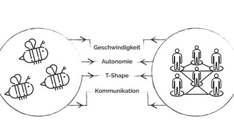 Auf dem Weg zur modernen Organisation – von Bienen Agilität lernen