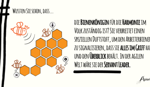 Honey Facts: Führung