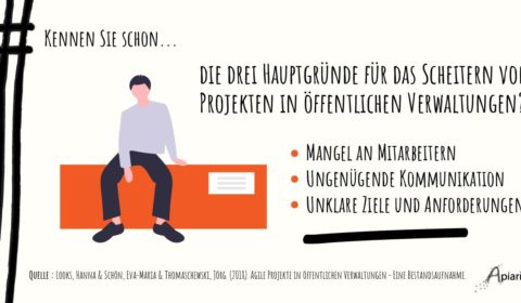 Scheitern von Projekten in der Verwaltung